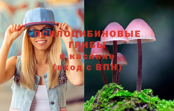 мдпв Кукмор