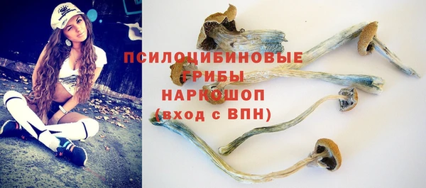 а пвп мука Куйбышев