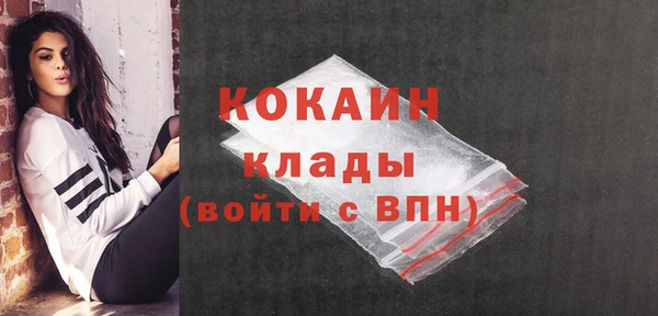 мдпв Кукмор