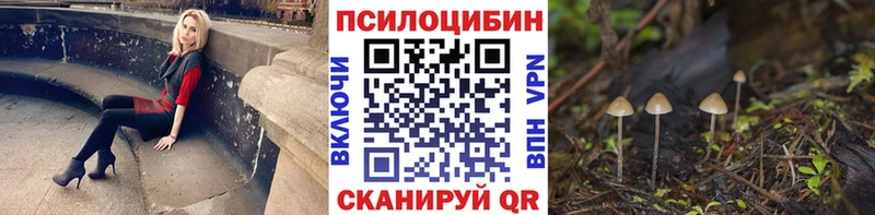 Купить  Богучар  Галлюциногенные грибы Cubensis 